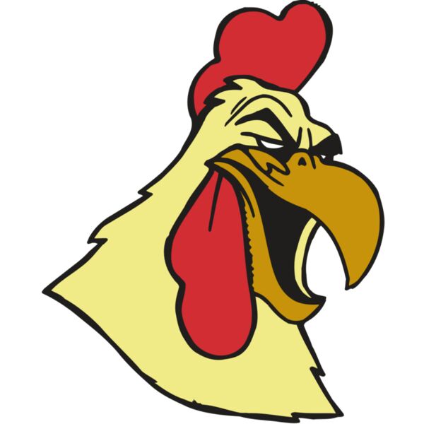 AR5 Gamecock 02 RQC Thumbnail