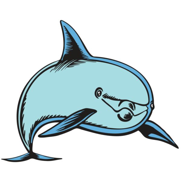 BAW DOLPHIN 04 RC Thumbnail